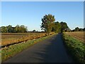 Fersfield Road heading north in IP22 2AW