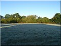 Frosted field towards woodland in IP22 2FB
