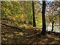 Path beside the Bara Loch in EH41 4PF