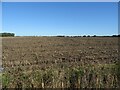 Stubble field off Thetford Road  in IP22 2SX