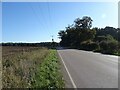 Thetford Road (A1066) towards Diss in IP22 2SX
