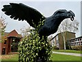 Ellesmere College raven in SY12 9AA