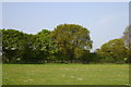 A field and trees in CH8 9JA