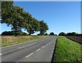 Low Road (A1066) towards Diss in IP22 2AQ