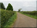 Hedge-lined track giving access to East Bowhill Farm in DG12 5RG