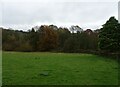 Grazing and woodland, Blackbrook in DE56 2LD