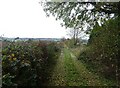 Track (footpath) to Ashbourne Road, Shottlegate in DE56 2LS