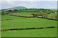 More fields near Gydrhos farm in SY20 8NZ