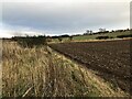 Newly ploughed field, Denholm in TD9 8NJ