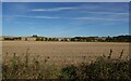 Stubble field near Woolley in Barham and Woolley