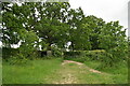 Footpath south of Marden in TN12 9LS