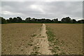 Footpath across field in TN12 9LS