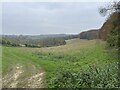Pasture above Hanger Wood in HP14 3PJ