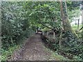 A pleasant bridleway below Redstone Bank in Narberth Community