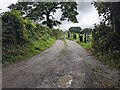 The lane to Fairy Bank Farm in SA67 8RJ