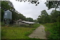 Abandoned poultry sheds, Pachington Copse, Harewood Forest in SP11 7AN