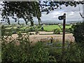 A footpath into the corn field in SA67 7PB