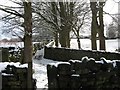 Trees and walled footpath near Raikes House Farm in BD20 0NF
