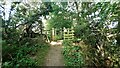 Kissing gate on Hadrian's Wall Path south of Grinsdale in CA3 9QY