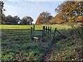 Rickety stile and gate at Blue Fly Field in Mapperley