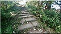 Stone steps on Hadrian's Wall Path in CA3 9QY