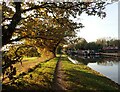 The Slough Arm of the Grand Union Canal near Langley in SL0 9RH