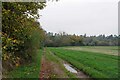 Approaching Little Bentleyhall Wood in CO7 8SD