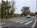 Zebra crossing in Chobham Road in GU16 7NJ
