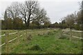 Fenced path between paddocks at Manor Farm in HP23 4NE