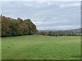 Pasture north of Mosshall Wood in RG31 6YT