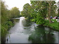 The Great Stour from the bridge on Bridge Street in TN25 5HB