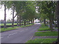 Tree lined road into town in WV8 1SJ