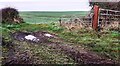 Arable field on NE side of farmland access track NE of Crosby in CA15 6TG