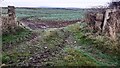 Arable field SW of Allerby in CA7 2NH