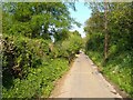Lane near Clove Farm in EX6 7SB
