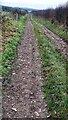 Farmland access track west of Crosby in CA15 6RS