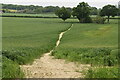 Footpath across field in TN12 0HB