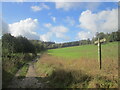 Signposts on a track between Mop End and Shardeloes in HP7 0QR
