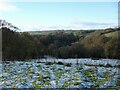 Frosty field near Townlands, Stonehouse in ML9 3PL