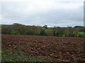 Ploughed field off National Cycle Route 2  in EX8 5BR