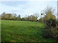 Field path to Moor End Farm & Cottage in Bashall Eaves