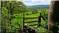 Shropshire Way, southwest from Snitton Lane near Knowbury in SY8 3JY