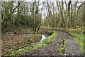 Muddy path through Hetton Park in DH5 8JS