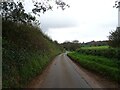 Minor road towards Yettington in EX9 7EF