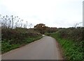 Minor road towards Bicton Common in EX9 7BR