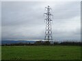 Pylon near Higher Bagmores Farm in EX5 1LA