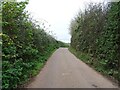 Ebford Lane towards Ebford in EX5 1LA