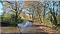 Partial flooding in Wellow Drove in SO51 6DU