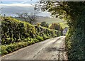 Minor road, Longcombe  in TQ9 6PW