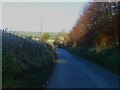 Minor road towards Avonwick in TQ10 9HA